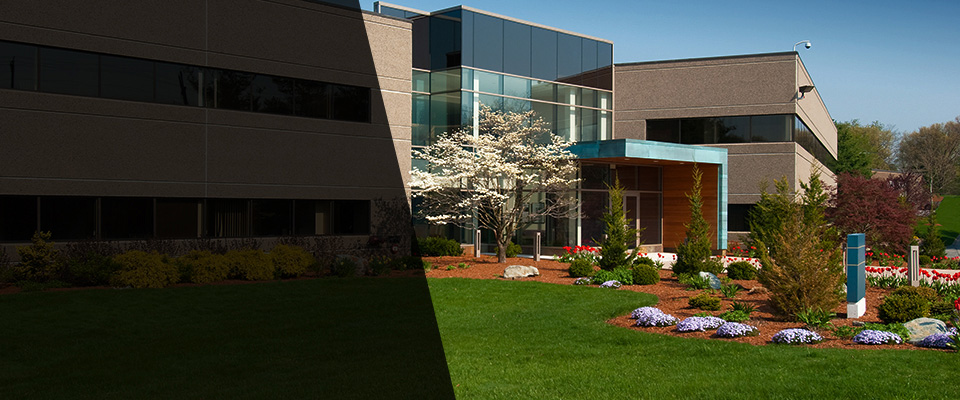 San Lorenzo Landscapers