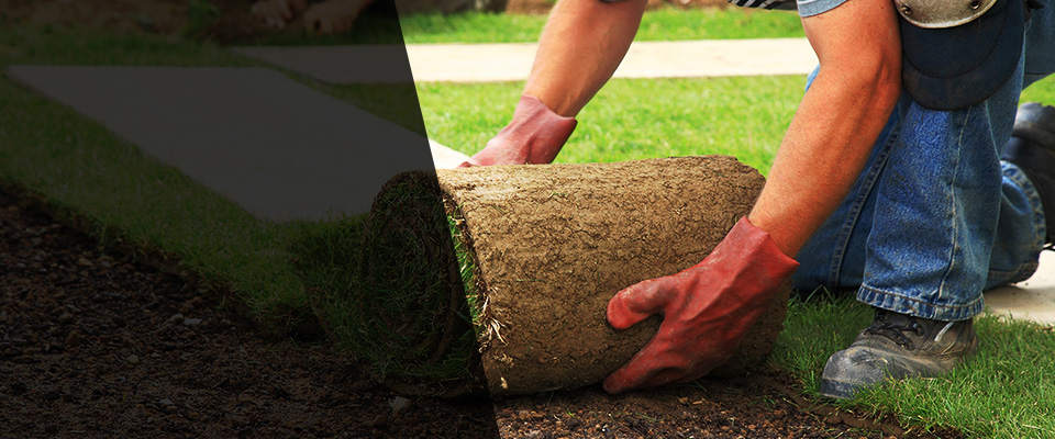 San Lorenzo Landscapers